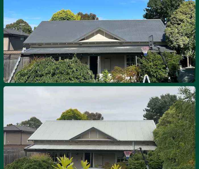 Repairing a leaking roof